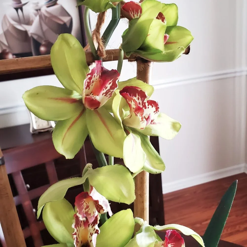 Faux Orquidea arrangement with Bamboo and Ceramic Vase